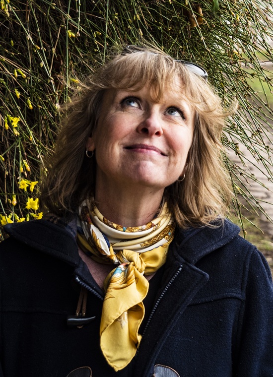 Les forêts enchantées de Sylvie de Mathuisieulx